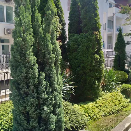 Apartament елит 4 *