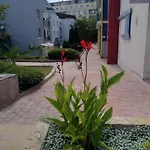 елит 4 *